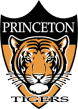 Princeton Tiger Icon